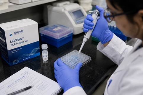 Wide shot of a Bangalore molecular biology research lab showing researchers working with diverse instruments simultaneously — real biotech company environment