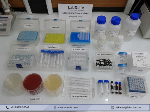 Laboratory consumables including pipette tips, PCR tubes, petri dishes and reagent bottles arranged on a Bangalore research lab bench — natural flat-lay