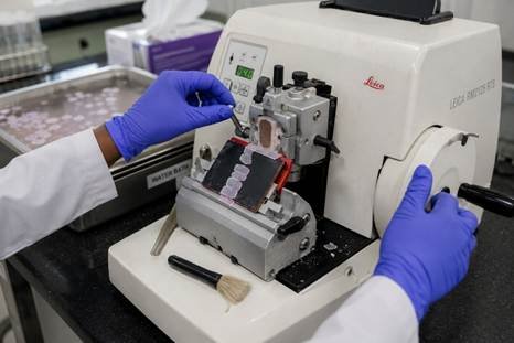 Histotechnologist using a rotary microtome demonstrating microtome sectioning techniques in a Bangalore pathology lab