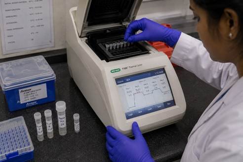 Researcher loading PCR tubes into a thermocycler showing PCR technology laboratory setup in Bangalore