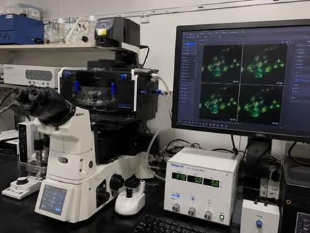 Live cell imaging setup with environmental chamber on a microscope in a Bangalore cell biology lab