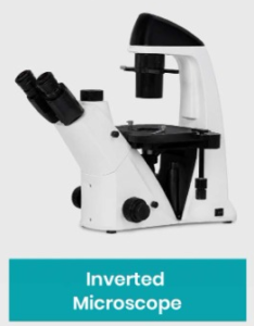 Inverted Microscope