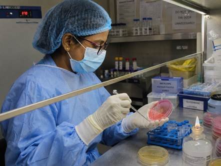 Microbiologist streaking a bacterial culture onto agar in a Karnataka diagnostic laboratory