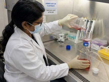 Researcher filtering media through a vacuum filter unit in a Karnataka cell culture laboratory